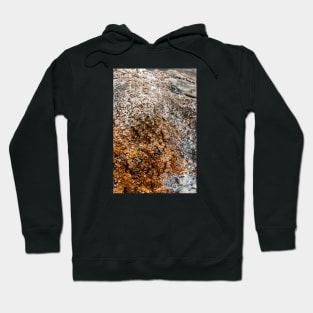 Rustic Seaside Erosion Texture - Alternative Hoodie